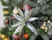 Выбрать фотографию для просмотра