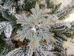 Выбрать фотографию для просмотра