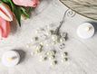 Выбрать фотографию для просмотра