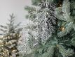 Выбрать фотографию для просмотра