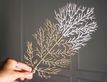 Выбрать фотографию для просмотра