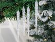 Выбрать фотографию для просмотра