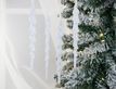 Выбрать фотографию для просмотра