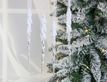 Выбрать фотографию для просмотра