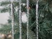 Выбрать фотографию для просмотра
