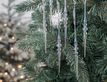 Выбрать фотографию для просмотра