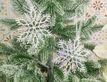 Выбрать фотографию для просмотра