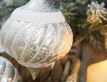 Выбрать фотографию для просмотра