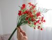 Выбрать фотографию для просмотра