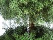 Выбрать фотографию для просмотра