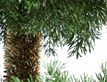 Выбрать фотографию для просмотра