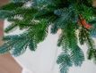 Выбрать фотографию для просмотра
