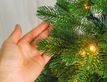 Выбрать фотографию для просмотра
