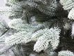 Выбрать фотографию для просмотра