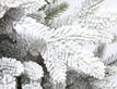 Выбрать фотографию для просмотра