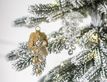 Выбрать фотографию для просмотра
