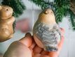 Выбрать фотографию для просмотра