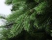 Выбрать фотографию для просмотра