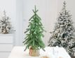 Выбрать фотографию для просмотра
