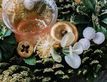 Выбрать фотографию для просмотра