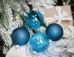 Выбрать фотографию для просмотра