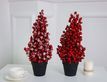 Выбрать фотографию для просмотра