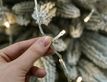 Выбрать фотографию для просмотра