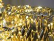 Выбрать фотографию для просмотра