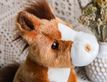 Выбрать фотографию для просмотра