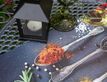 Выбрать фотографию для просмотра
