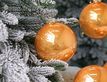 Выбрать фотографию для просмотра