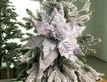 Выбрать фотографию для просмотра