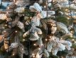 Выбрать фотографию для просмотра