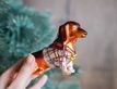 Выбрать фотографию для просмотра