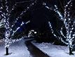 Выбрать фотографию для просмотра