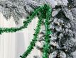Выбрать фотографию для просмотра