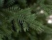 Выбрать фотографию для просмотра