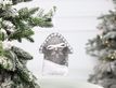 Выбрать фотографию для просмотра