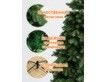 Выбрать фотографию для просмотра