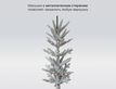 Выбрать фотографию для просмотра