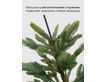 Выбрать фотографию для просмотра