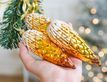 Выбрать фотографию для просмотра