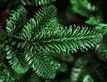 Выбрать фотографию для просмотра