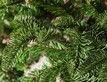 Выбрать фотографию для просмотра