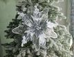 Выбрать фотографию для просмотра