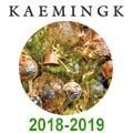 Шоурум продукции KAEMINGK 2018-2019
