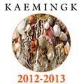 Шоурум продукции KAEMINGK 2012-2013