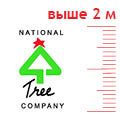 Ели выше 2,0 м National Tree