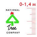 Ели до 1,4 м National Tree