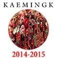Шоурум продукции KAEMINGK 2014-2015